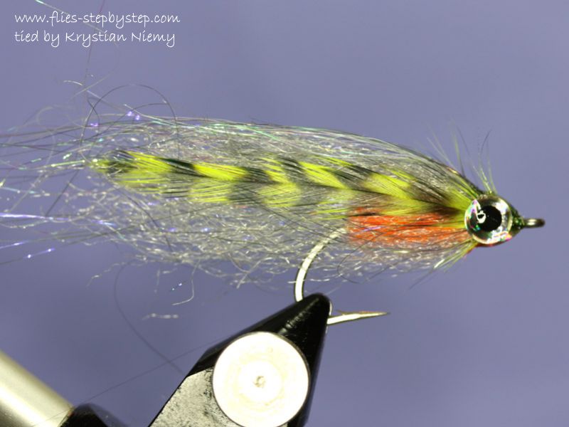 Baitfish streamer fly pattern How to tie fly, Fly tying Step by Step